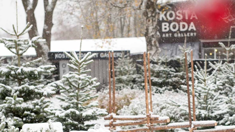 Sn�t�ckta granar utanf�r Kosta Artgallery