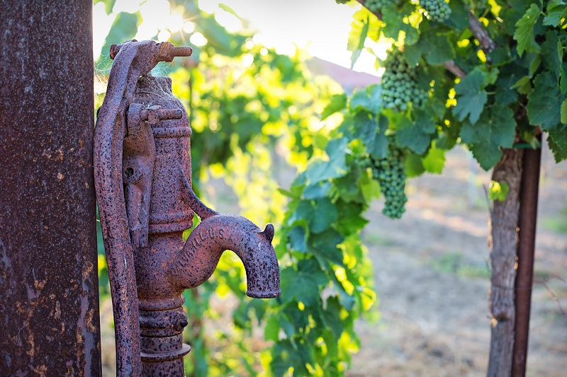 Vattenpump i vindruvsodling